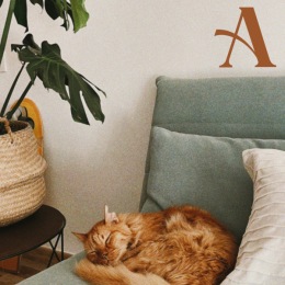 Pets make a house a home! Bring your furry companions to Annabelle on Main. 🐶🐱  #FurryFriends #AnnabelleOnMain #ActiveAdult #Duluth #DuluthGA #DuluthLiving #ActiveAdultLiving #LuxuryLiving #DuluthApartments #GeorgiaApartments #55PlusApartments